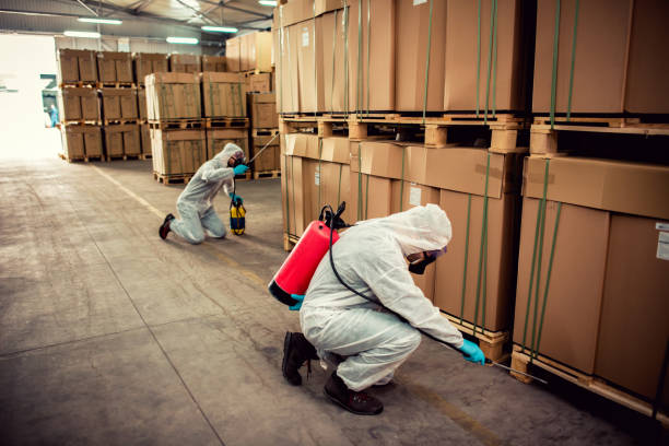 Reliable Butler, IN Pest Control Solutions