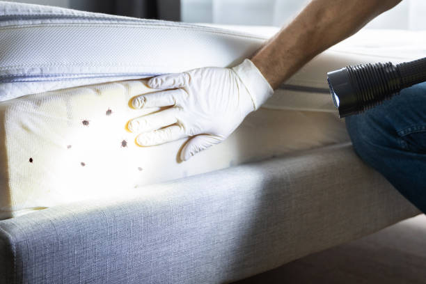 Best Pest Control Near Me in Butler, IN